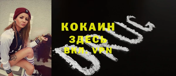 бошки Арсеньев