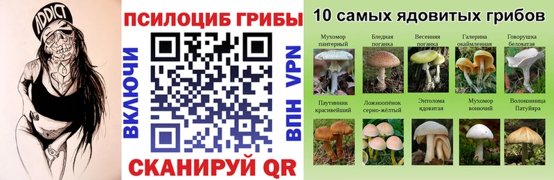 Галлюциногенные грибы Magic Shrooms  Купить где  Ессентукская 